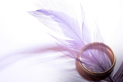 feather brooch in winter 2018